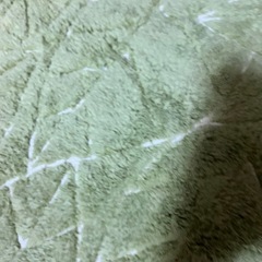 ⭕️【美品！】マットの画像