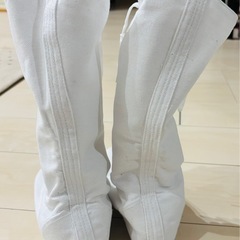 ダンスブーツの画像