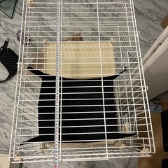 猫　ゲージ　トイレ付きの画像
