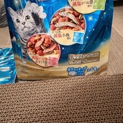 猫用キャットフードと爪とぎの画像