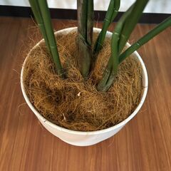 【IKEA】FEJKA フェイカ人工観葉植物, 室内/屋外用 ケンチャヤシの画像