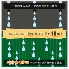 人工芝 フィールドマジック ペットターフ DIY
の画像