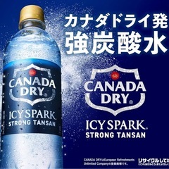 強炭酸水24本　　　　　の画像