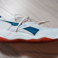 体育館シューズ（24.5cm）の画像