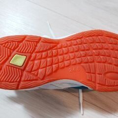 体育館シューズ（24.5cm）の画像