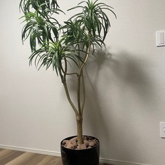 『お取引き決定』［再掲載］フェイクグリーン【人工観葉植物】の画像