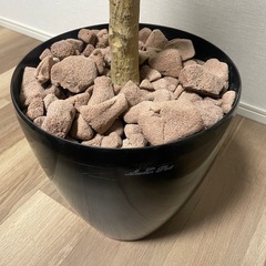 『お取引き決定』［再掲載］フェイクグリーン【人工観葉植物】の画像