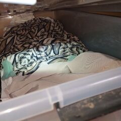 衣類大量の画像