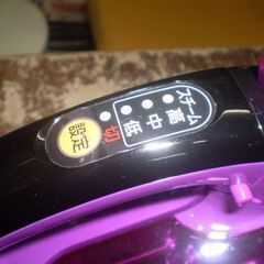 パナソニック CaRuRu NI-WL501 スチームアイロン  2013年製　の画像