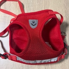 犬用リードLサイズの画像