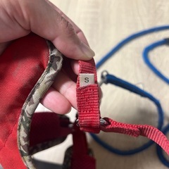 犬用リードとハーネスの画像