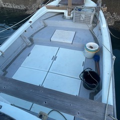 ★ヤンマートビウオ★26FT★の画像