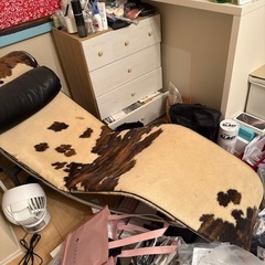 デザイナーチェア寝椅子の画像