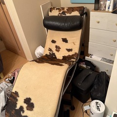 デザイナーチェア寝椅子の画像