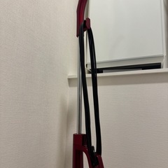 2wayクリーナー/ANABAS SSC-100/2018年製 掃除機　赤の画像