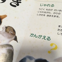 無料 非対面取引 訳あり 図鑑 絵本 ぬりえ セットの画像