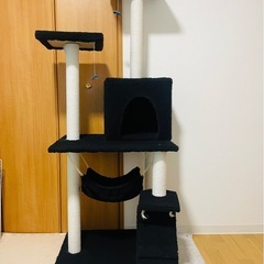 キャットタワーの画像