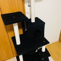 キャットタワーの画像