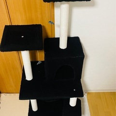キャットタワーの画像