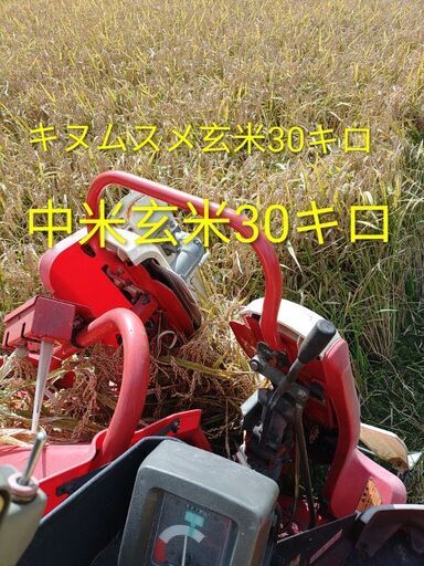 【新米】キヌムスメ玄米30キロ＋中米30キロ