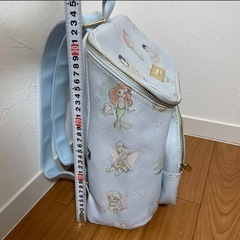 ディズニープリンセス　リュック　保育園リュック　アニメーターコレクションの画像