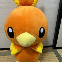 ポケモン　アチャモ　ぬいぐるみの画像