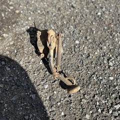 ホンダ　ライブディオ ロンホイ用サイドスタンドの画像