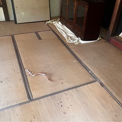古畳、昔の畳8畳ぶん分の画像