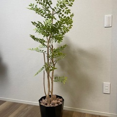 フェイクグリーン【人工観葉植物】の画像