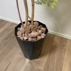 フェイクグリーン【人工観葉植物】の画像