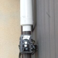 防犯カメラ：トレイルカメラＳＤカード無し　ソーラーでも電灯線でも可　人感センサー付きの画像