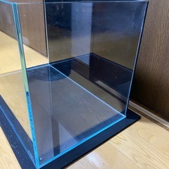 【受け渡し決定】※蓋・マット・バックスクリーン・扇風機・エアーポンプ付 ADA 45㎝水槽(W45×D27×H30)の画像