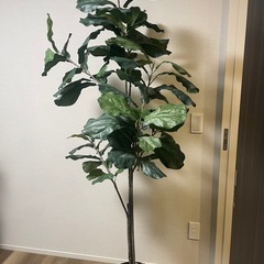 『お取引き決定』［再掲載］フェイクグリーン【人工観葉植物】の画像