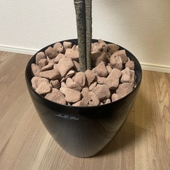 『お取引き決定』［再掲載］フェイクグリーン【人工観葉植物】の画像