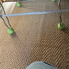 ローテーブル　グリーンの画像