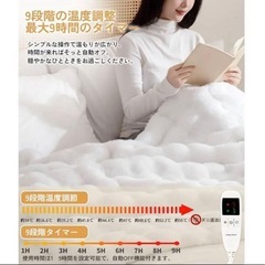 電気毛布 表兎毛調×裏フランネル リバーシブル　9段階温度　9段階タイマーの画像