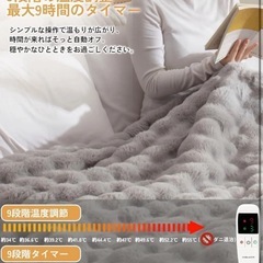 電気毛布 掛け敷き兼用 190×130cm 表兎毛調×裏フランネル リバーシブル／9段階温度・9段階タイマー／洗濯機で丸洗いOKの画像