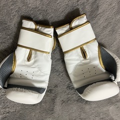 Reebok ボクシンググローブ 12オンス（ホワイト）の画像