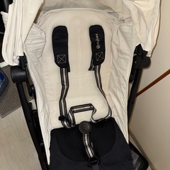 サイベックスリベル キャンバスホワイト の画像