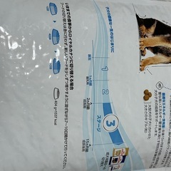 未開封ロイヤルカナンマキシパピー ステージ3の画像