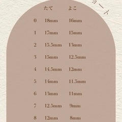 新品　ネイルチップの画像