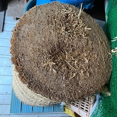 弓道 まきわら(巻藁) の画像