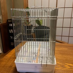 受渡し予定者決まりました。小さなとりかご鳥かごの画像