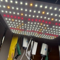 【室内水耕栽培ステーション一式】Brim PANEL A LEDライト＋メタルラックセットの画像
