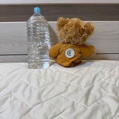 【美品】YMCAジュエリー　ノベルティ　小さめ
ぬいぐるみ✨お子様・インテリアにも🐻の画像