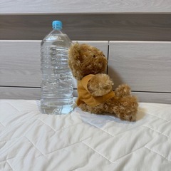 【美品】YMCAジュエリー　ノベルティ　小さめ
ぬいぐるみ✨お子様・インテリアにも🐻の画像