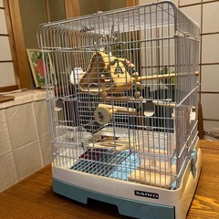 受渡し予定者決まりました。。鳥かご、差し上げます。の画像