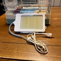 受渡し予定者決まりました。。鳥かご、差し上げます。の画像