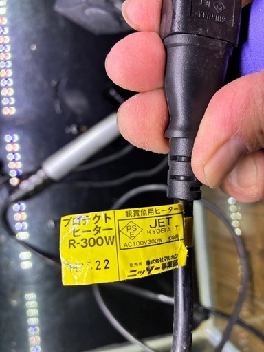 水槽セット　熱帯魚　金魚