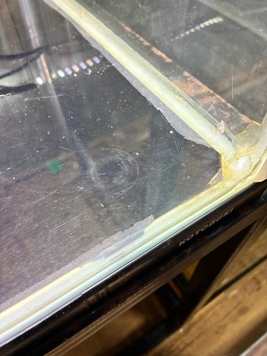 水槽セット　熱帯魚　金魚